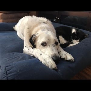 Meet your Posher, Stephen